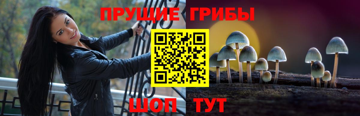Псилоцибиновые грибы ЛСД  Галлюциногенные грибы мухоморы  Мичуринск  Вход с VPN 
